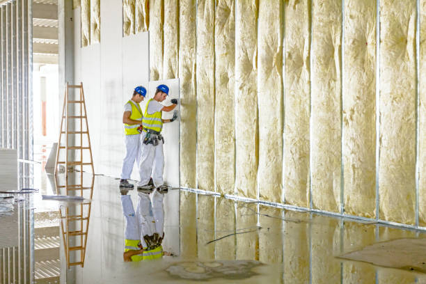 Best Insulation for Existing Homes  in Georgetown, KY